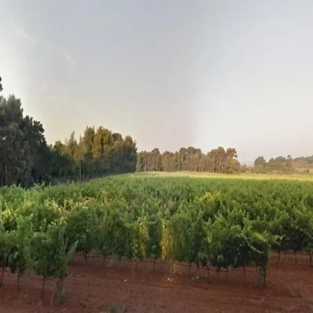 Bormes-les-mimosas, 3 Pieces, 6 Personnes - Fr-1-251-1 *